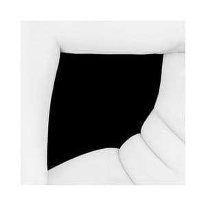 Artwork Title: Untitled