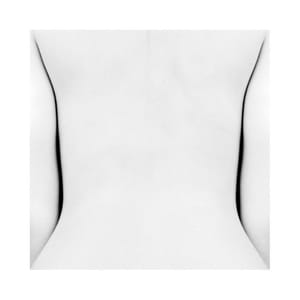 Artwork Title: Untitled