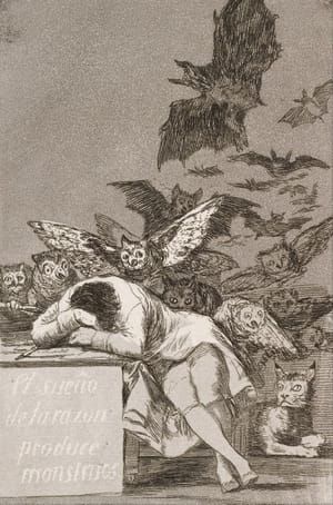 Artwork Title: The Sleep Of Reason Produces Monsters