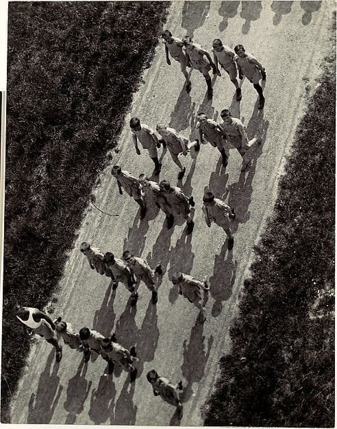 Artwork Title: (Boys Marching on a Road, from Above)