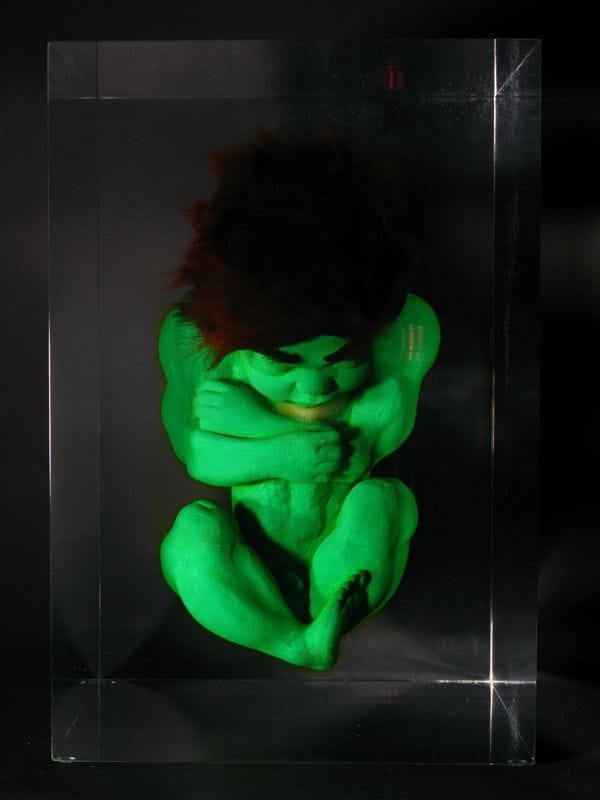 Artwork Title: Hulk foetus