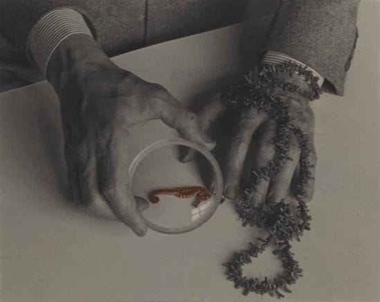 Artwork Title: The Hands of Max Ernst
