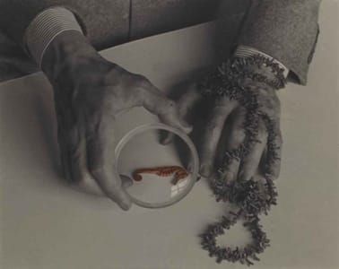 Artwork Title: The Hands of Max Ernst