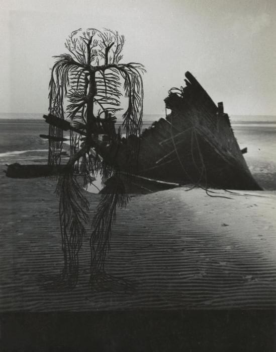 Artwork Title: Untitled, human circulatory system diagram, dark beach scene with wrecked boat