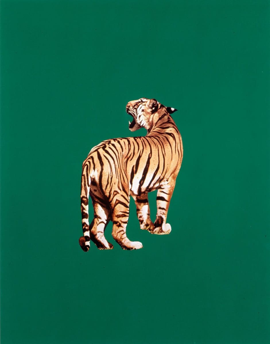 Artwork Title: Tiger