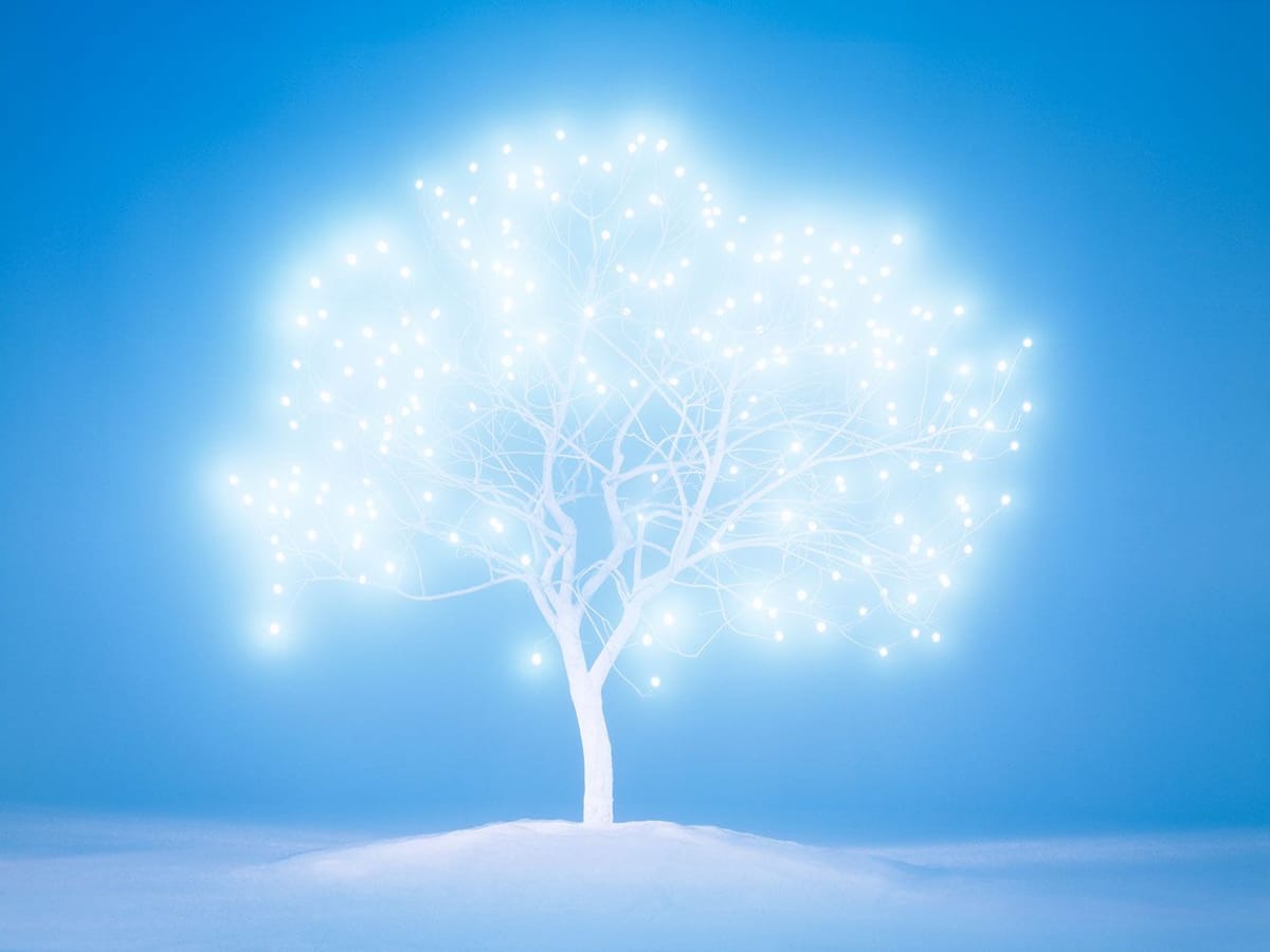 Artwork Title: undefined