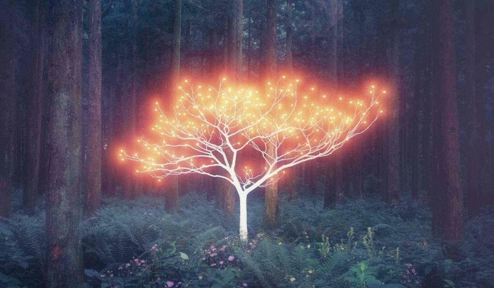 Artwork Title: undefined