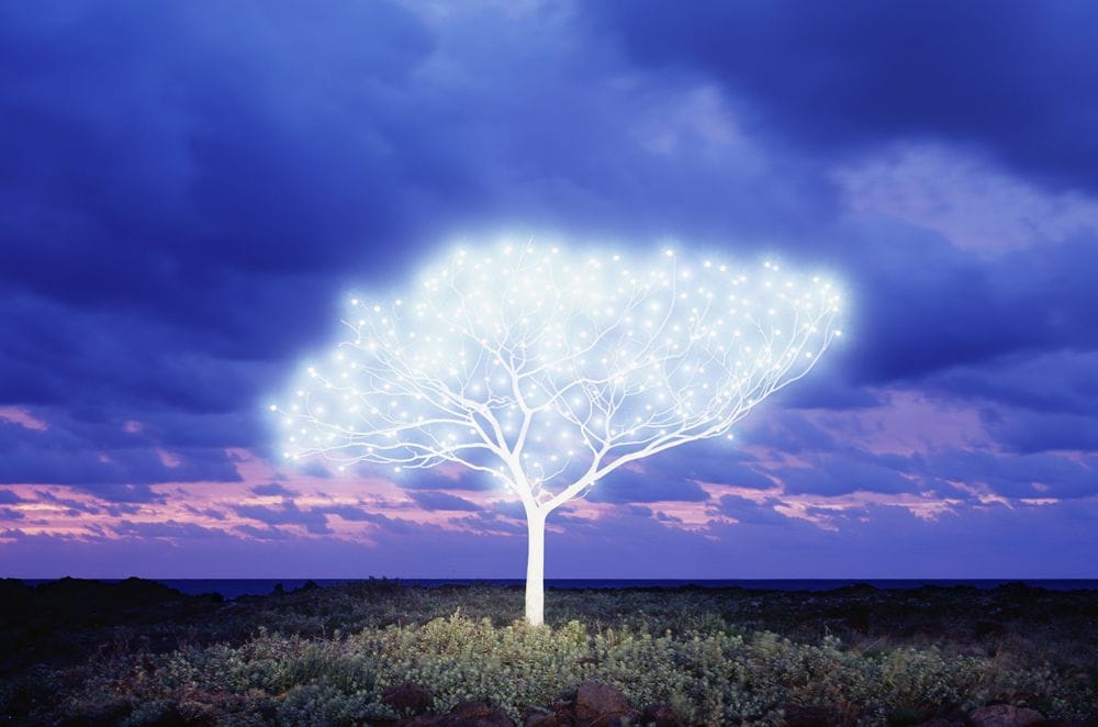 Artwork Title: undefined