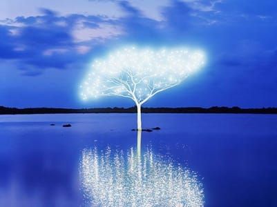 Artwork Title: Illuminated tree