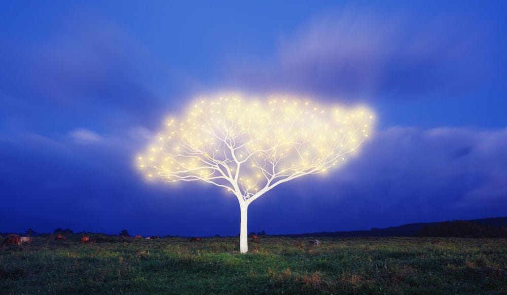 Artwork Title: undefined