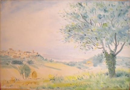 Artwork Title: quercia antica a Chianciano