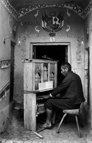 Artwork Title: Organist in the Capela de Tinta, Sicuani