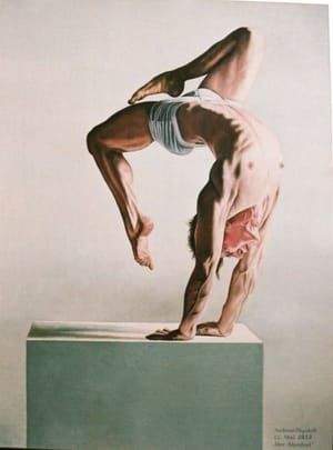 Artwork Title: Der Akrobat