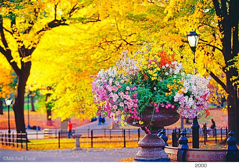 Artwork Title: Unittled