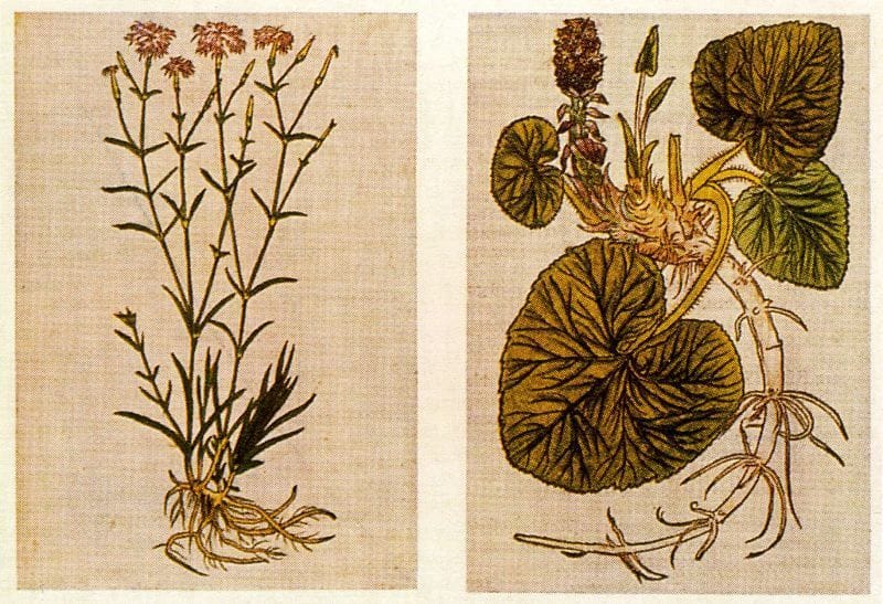 Artwork Title: undefined