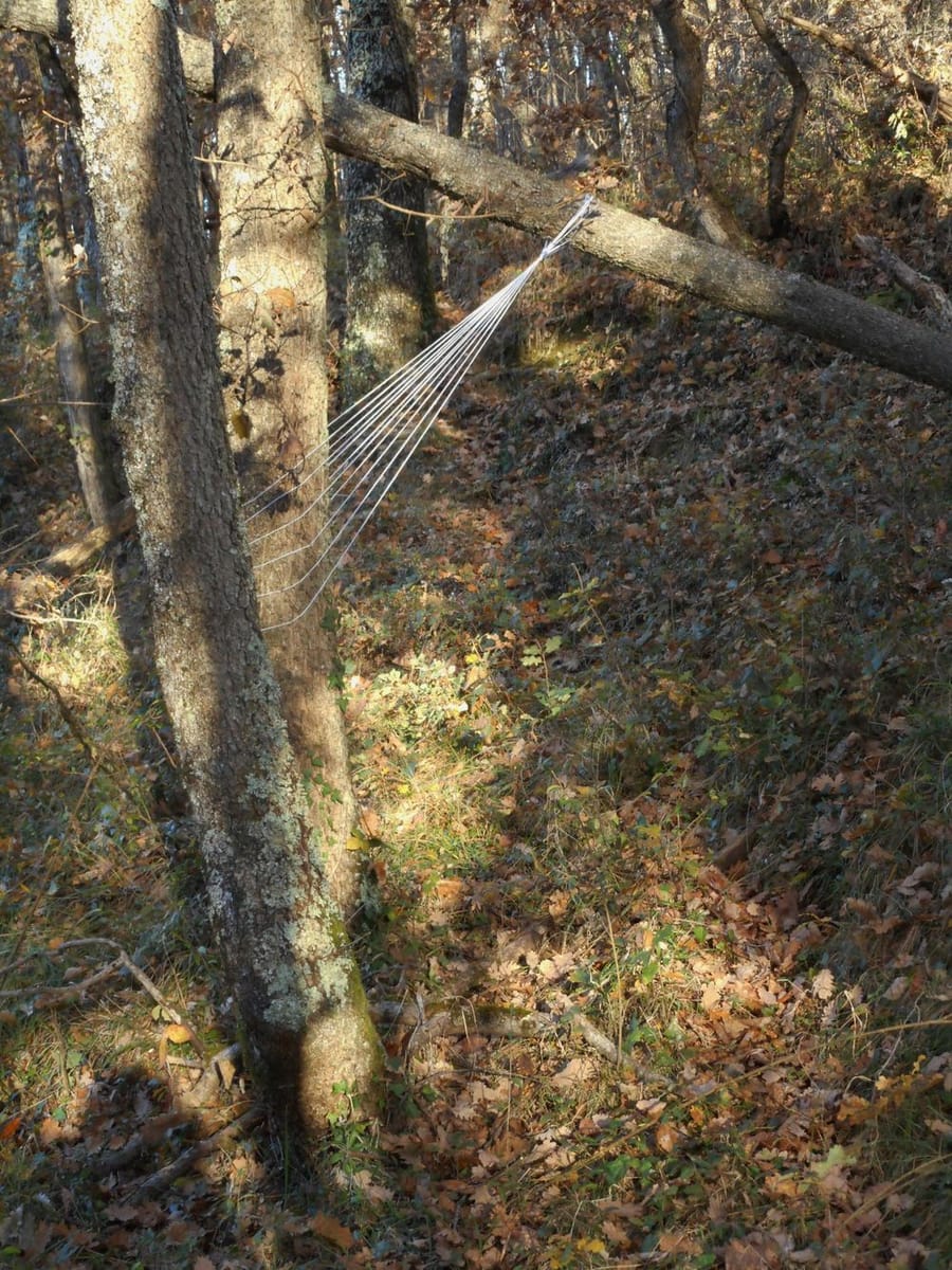 Artwork Title: Pyrenees