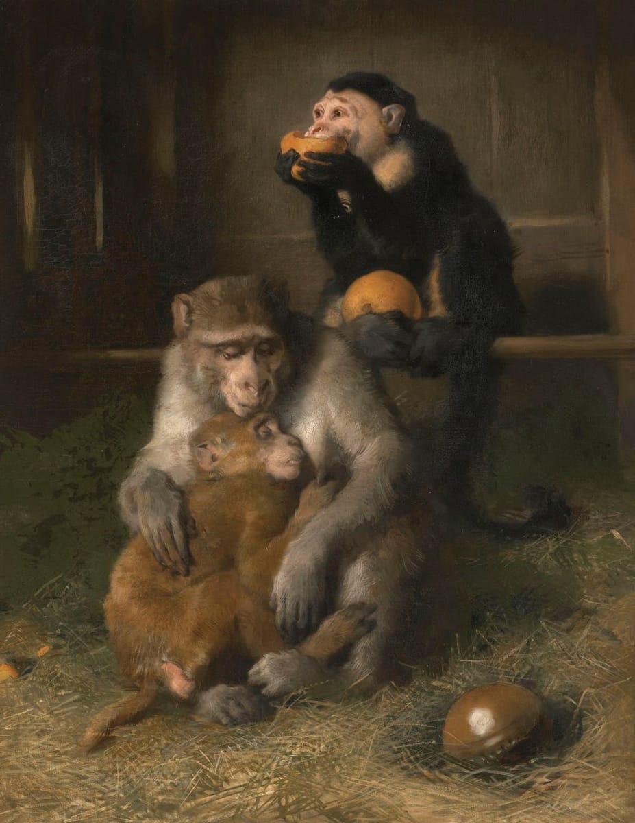 Artwork Title: The Sick Monkey
