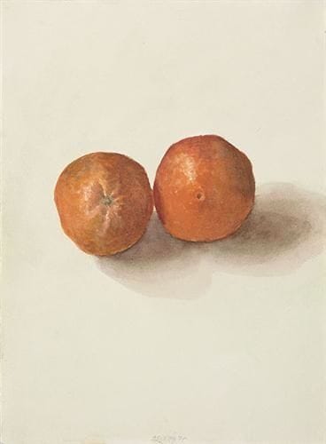 Artwork Title: Two Oranges