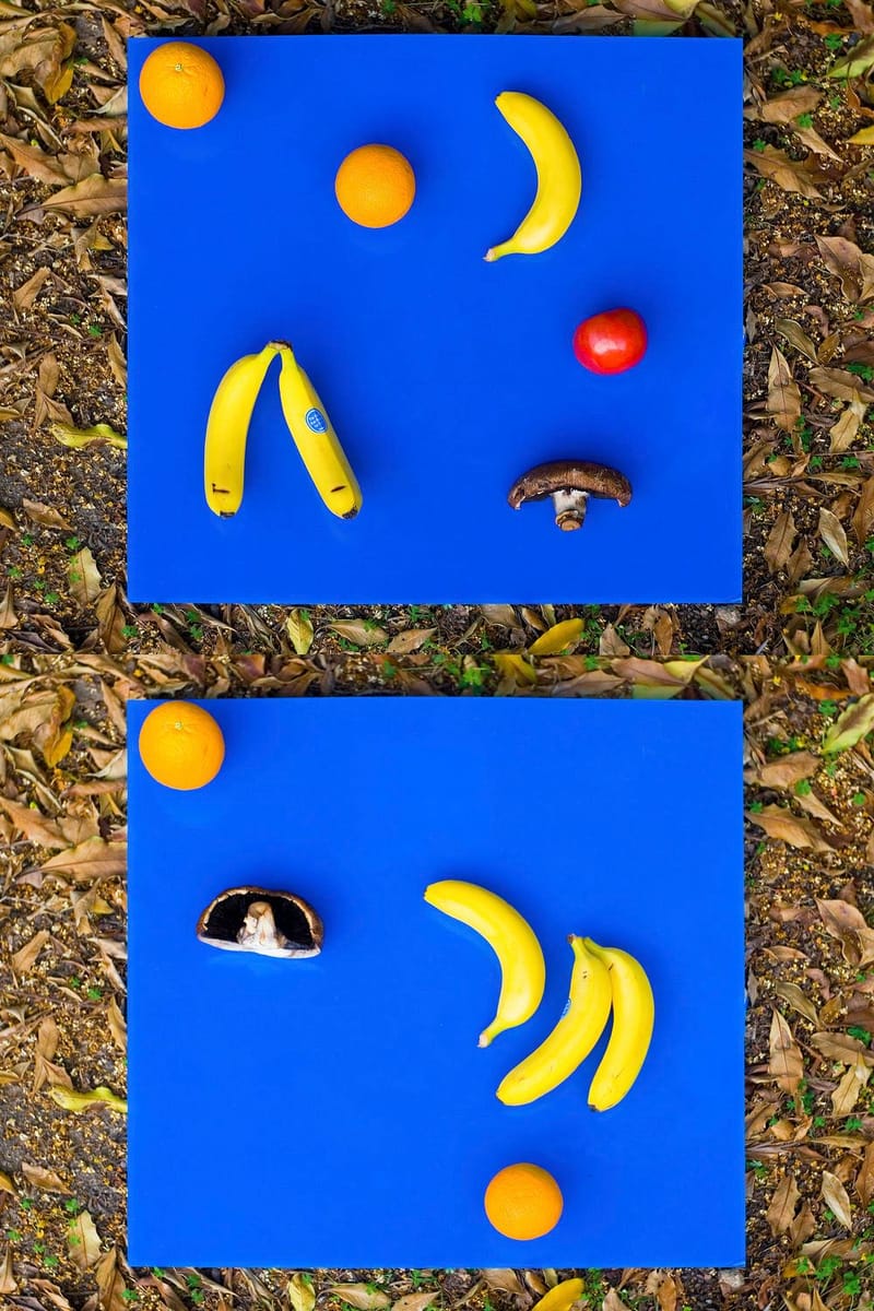Artwork Title: Arrangement of Fruit No. 6