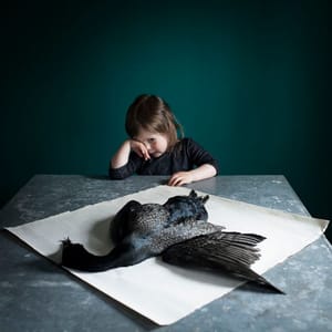 Artwork Title: Untitled