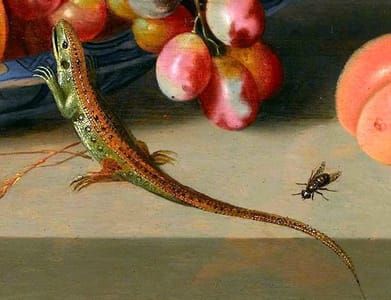 Artwork Title: Fruit in a Wan-li kraak dish and shells on a ledge with a lizard