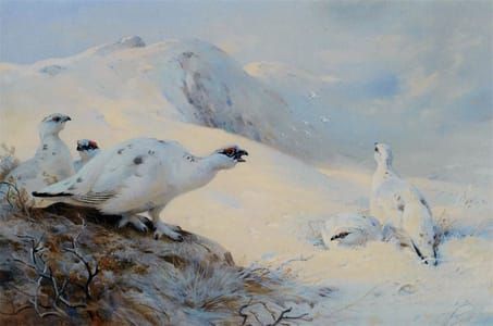 Artwork Title: Ptarmigan Calling in the Snow