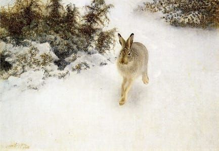 Artwork Title: Winter Hare