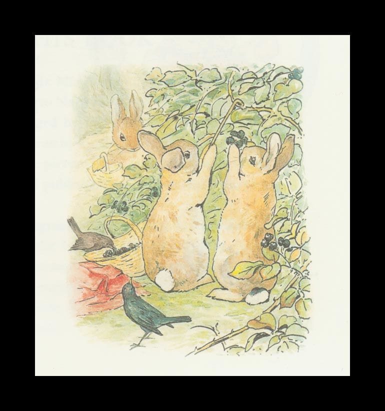 Artwork Title: Peter Rabbit
