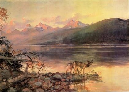 Artwork Title: Deer At Lake McDonald