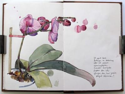 Artwork Title: Sketchbook pages