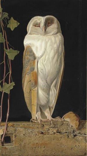 Artwork Title: The White Owl