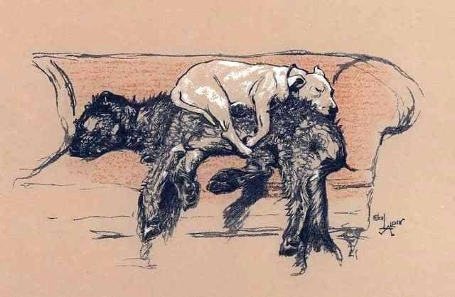 Artwork Title: Sleeping Dogs