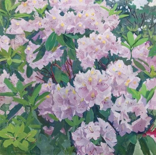 Artwork Title: Mountain Laurels