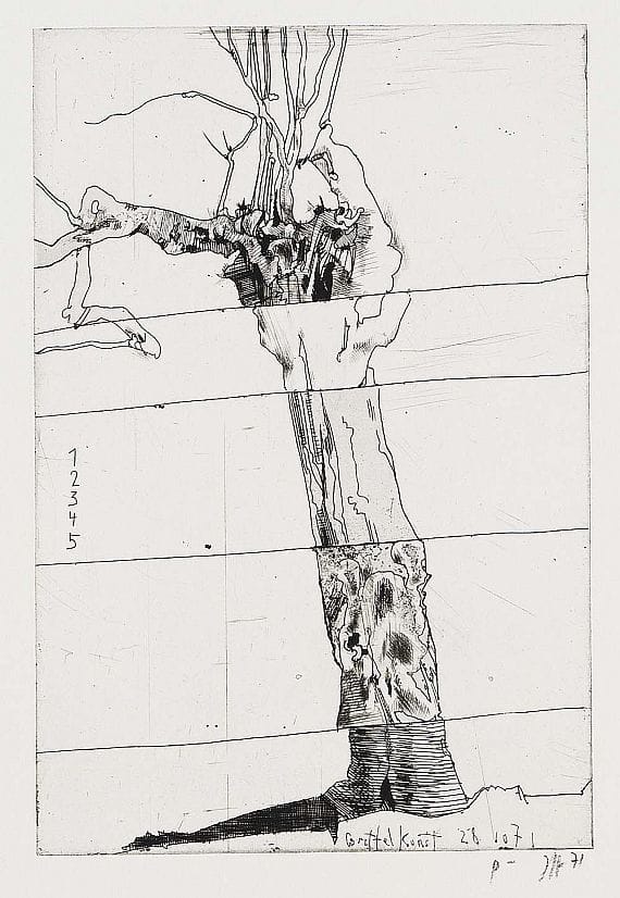Artwork Title: Vergnüglich spielendes Paar. Baum in Streifen (Tree in Strips), 1970