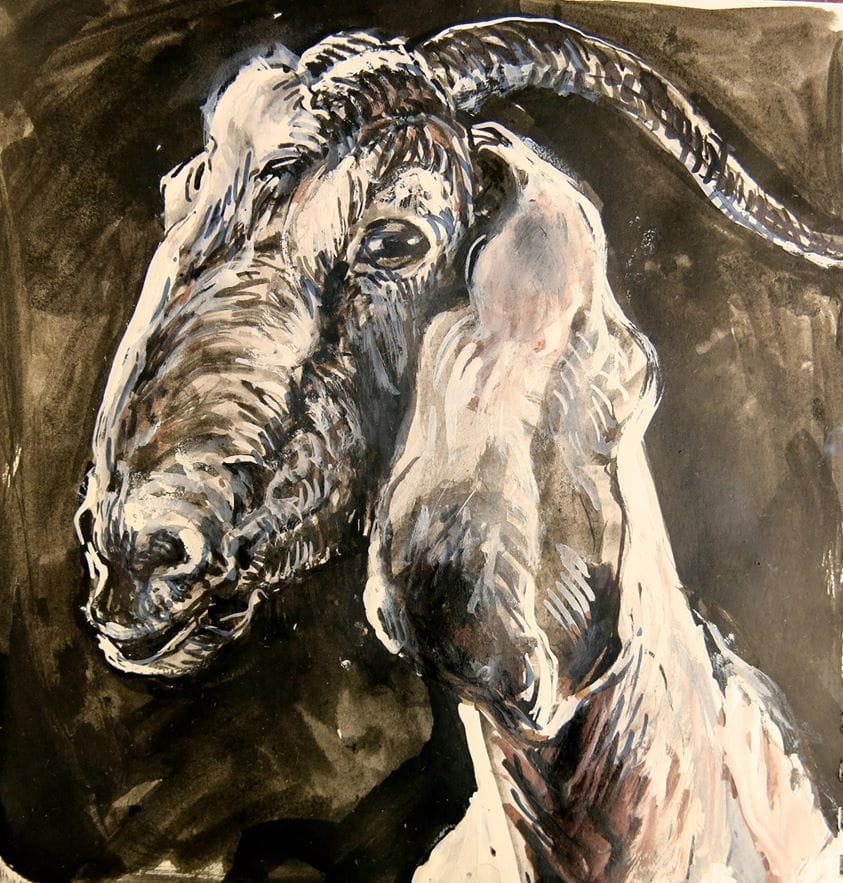 Artwork Title: Goat