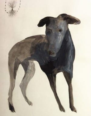 Artwork Title: Greyhound