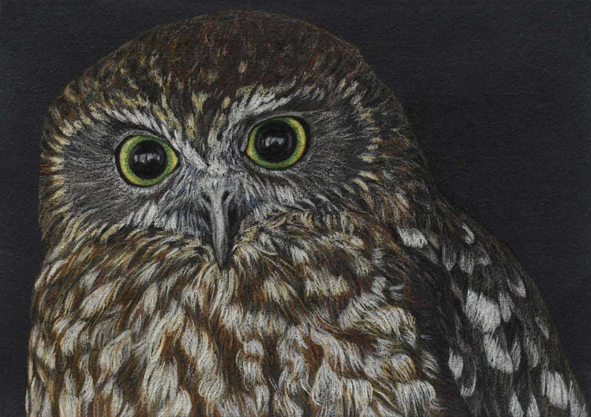 Artwork Title: Boobook Owl II