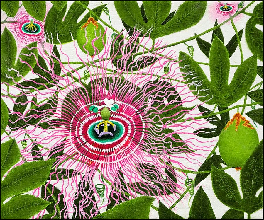 Artwork Title: Passion Flower