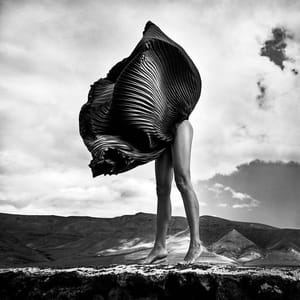Artwork Title: Untitled