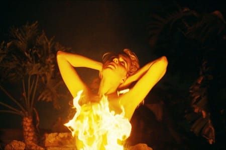 Artwork Title: LA Nudes, Fire