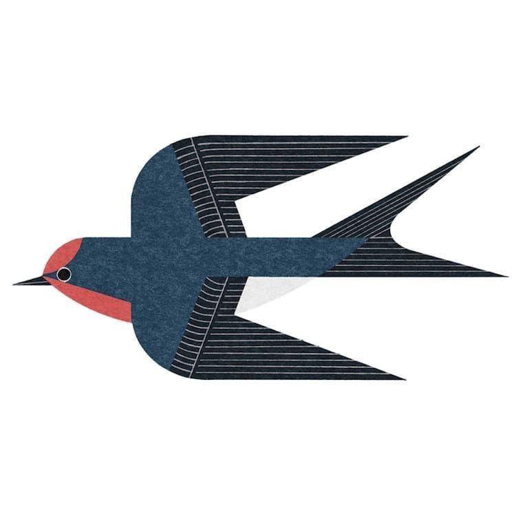 Artwork Title: Barn Swallow