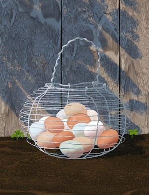Artwork Title: Deep Run Roots: Eggs