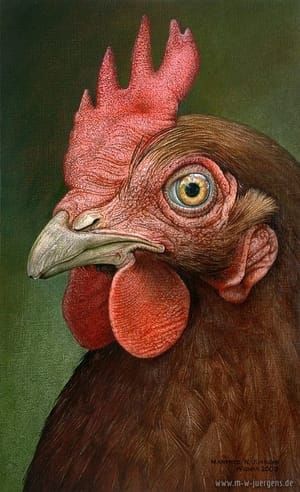 Artwork Title: Portrait Chicken