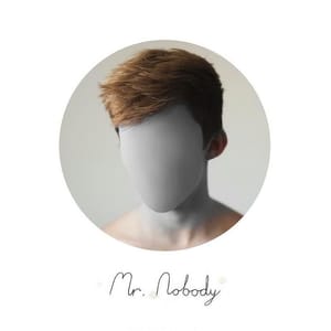 Artwork Title: Mr. Nobody