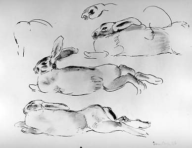 Artwork Title: Rabbits