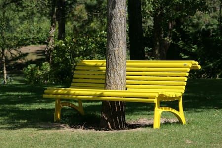 Artwork Title: YELLOW BENCH in NATURE