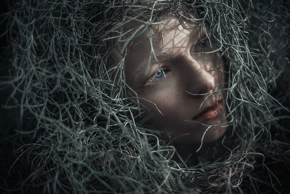 Artwork Title: undefined