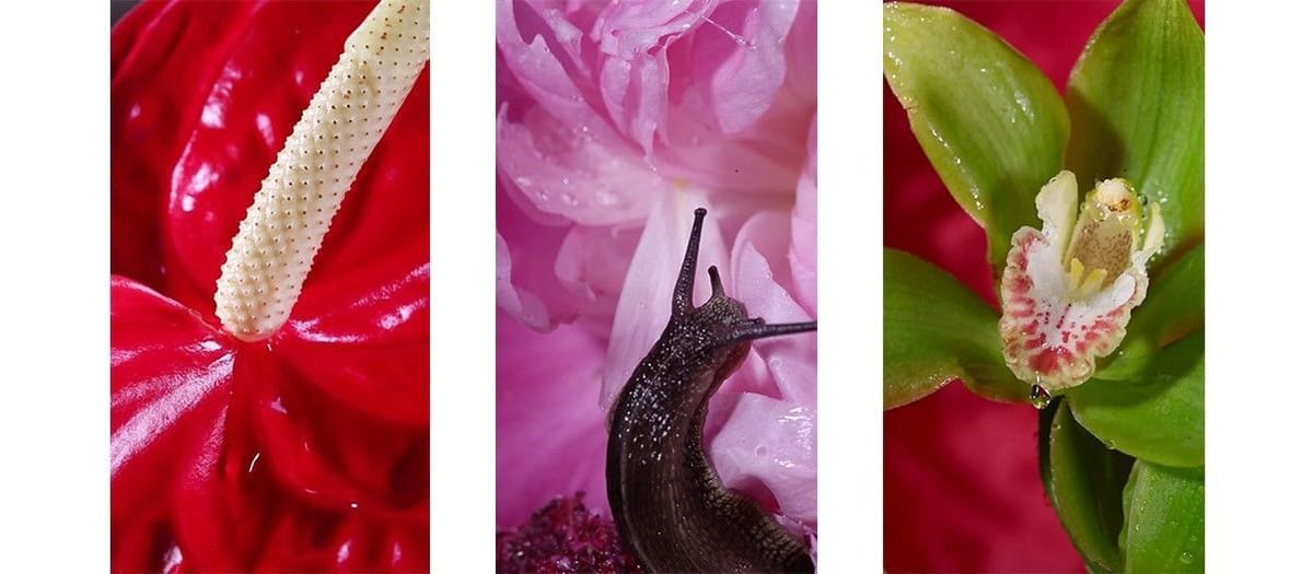 Artwork Title: undefined