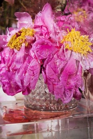 Artwork Title: Untitled