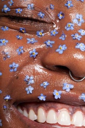 Artwork Title: Untitled